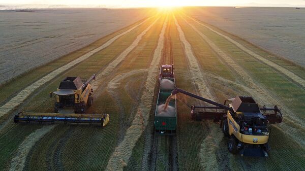 Фото: tj.sputniknews.ru