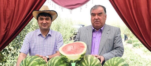 Боздиди Эмомалӣ Раҳмон ва Рустами Эмомалӣ аз хоҷагии Сомонҷон - Sputnik Тоҷикистон