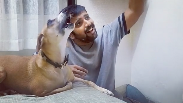 Поющая собака из Индии набирает популярность в Сети — видео - Sputnik Тоҷикистон