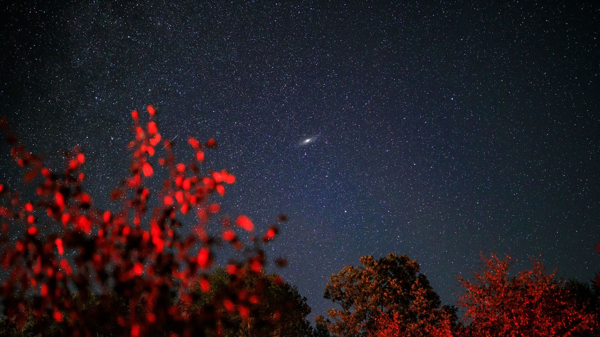 Звездное небо, наблюдаемое в Краснодарском крае во время метеорного потока Персеиды - Sputnik Таджикистан, 1920, 19.01.2022