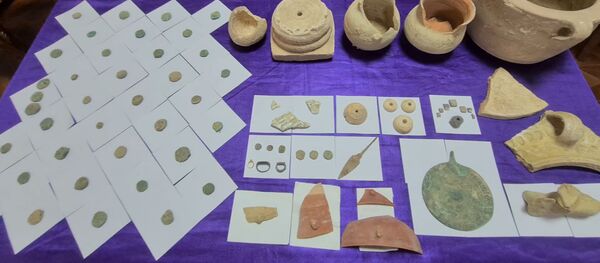 Золото царей: находки таджикских археологов - Sputnik Таджикистан