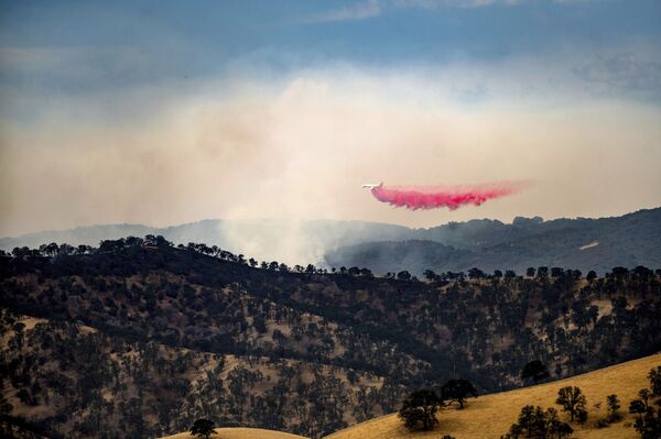 Тушение лесного пожара в округе Контра-Коста в Калифорнии - Sputnik Таджикистан