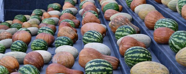 Фестиваль тыквы, дыни и арбуза в Душанбе Фестиваль тыквы, дыни и арбуза в Душанбе - Sputnik Таджикистан