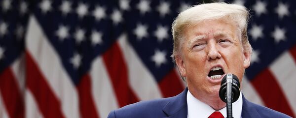 Брифинг президента США Дональда Трампа - Sputnik Таджикистан