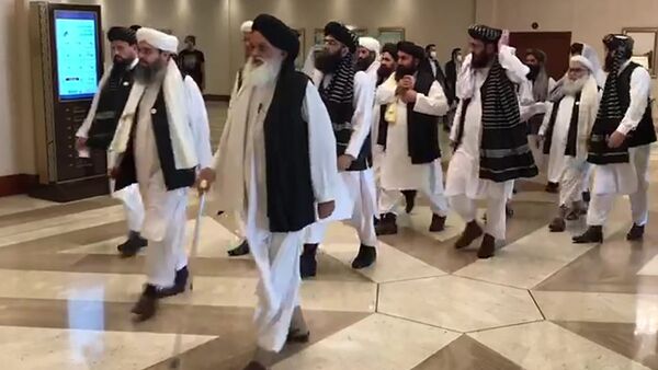 Делегация движения Талибан (запрещено в РФ), прибывшая в Катар на переговоры с правительством Афганистана - Sputnik Таджикистан
