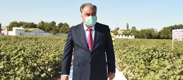 Визит Эмомали Рахмона в Согдийскую область - сентябрь 2020 Визит Эмомали Рахмона в Согдийскую область - сентябрь 2020 - Sputnik Таджикистан