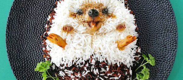 Кулинарное произведение Йоланды Стоккерманс из Бельгии Кулинарное произведение Йоланды Стоккерманс из Бельгии - Sputnik Таджикистан