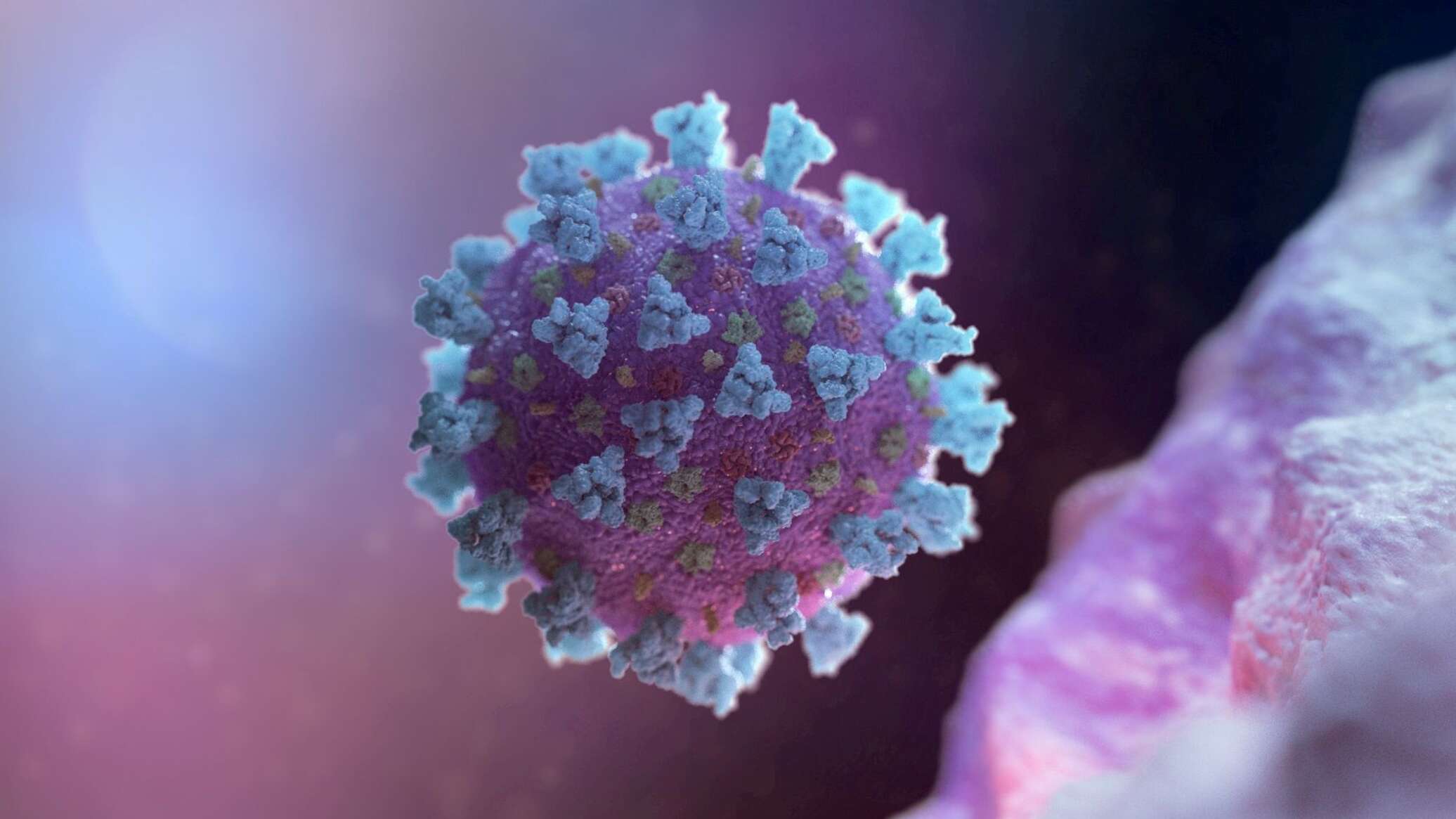 Первые фото дельта-штамма коронавируса - смотреть