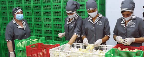 Таджикская птицефабрика в Согде  - Sputnik Тоҷикистон