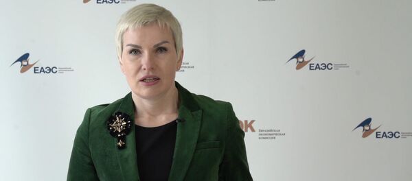 Помощник председателя Коллегии ЕЭК Ия Малкина во время брифинга - Sputnik Таджикистан