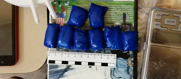 Партия наркотиков - Sputnik Таджикистан