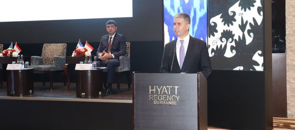 Министр экономического развития и торговли Таджикистана Завки Завкизода Министр экономического развития и торговли Таджикистана Завки Завкизода - Sputnik Тоҷикистон