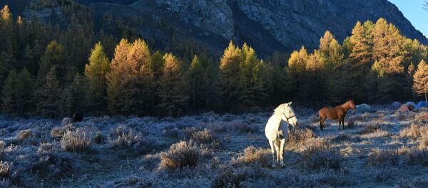 Осень в горах  - Sputnik Таджикистан