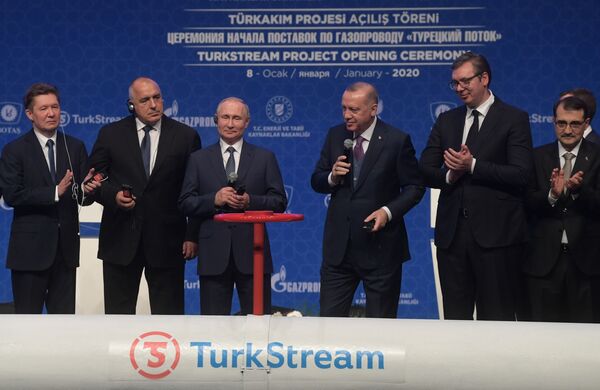 Президент России Владимир Путин и президент Турции Реджеп Тайип Эрдоган на церемонии официального открытия газопровода Турецкий поток в Стамбуле - Sputnik Таджикистан