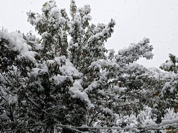 В Таджикистане выпал первый снег: фото В Таджикистане выпал первый снег: фото - Sputnik Таджикистан