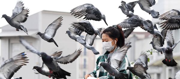 Ситуация с коронавирусом в городах России Ситуация с коронавирусом в городах России - Sputnik Таджикистан