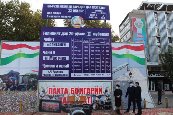 Ҷамъбасти мусобиқаи пахтачинӣ: Аҳмадзода ба кадом раисони навоҳӣ мукофотпулӣ дод? - акс Ҷамъбасти мусобиқаи пахтачинӣ: Аҳмадзода ба кадом раисони навоҳӣ мукофотпулӣ дод? - акс