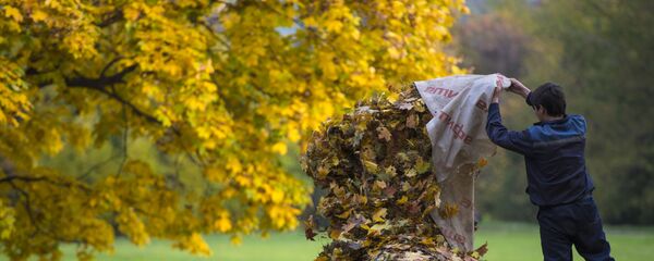 Дворник собирает опавшие с деревьев листья в парке Коломенское в Москве - Sputnik Таджикистан