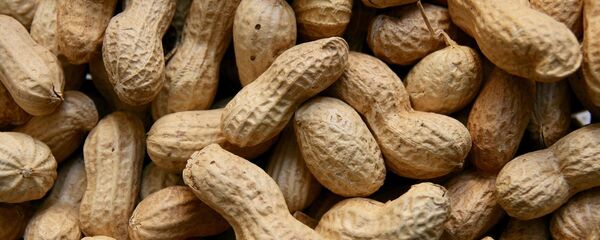 Арахисовые орехи - Sputnik Таджикистан