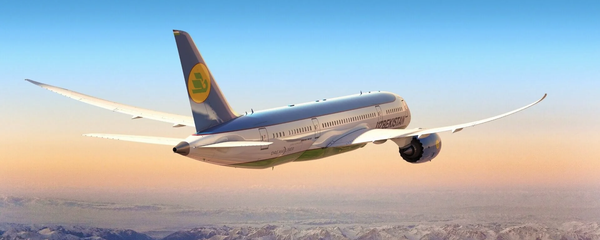 Самолет авиакомпании Uzbekistan Airways - Sputnik Тоҷикистон