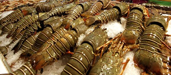 Морепродукты - Sputnik Таджикистан