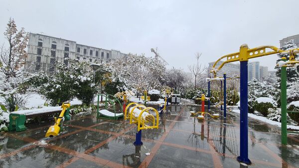 Первый снег в Душанбе - Sputnik Тоҷикистон