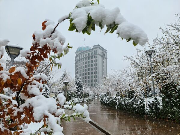 Первый снег в Душанбе  - Sputnik Таджикистан