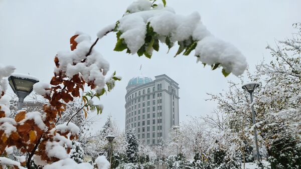 Первый снег в Душанбе  - Sputnik Таджикистан
