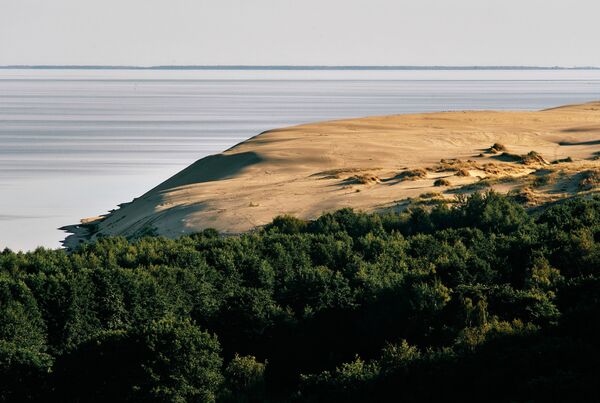 Вид на дюны с высоты Эфа в национальном парке Куршская коса в Калининградской области - Sputnik Таджикистан