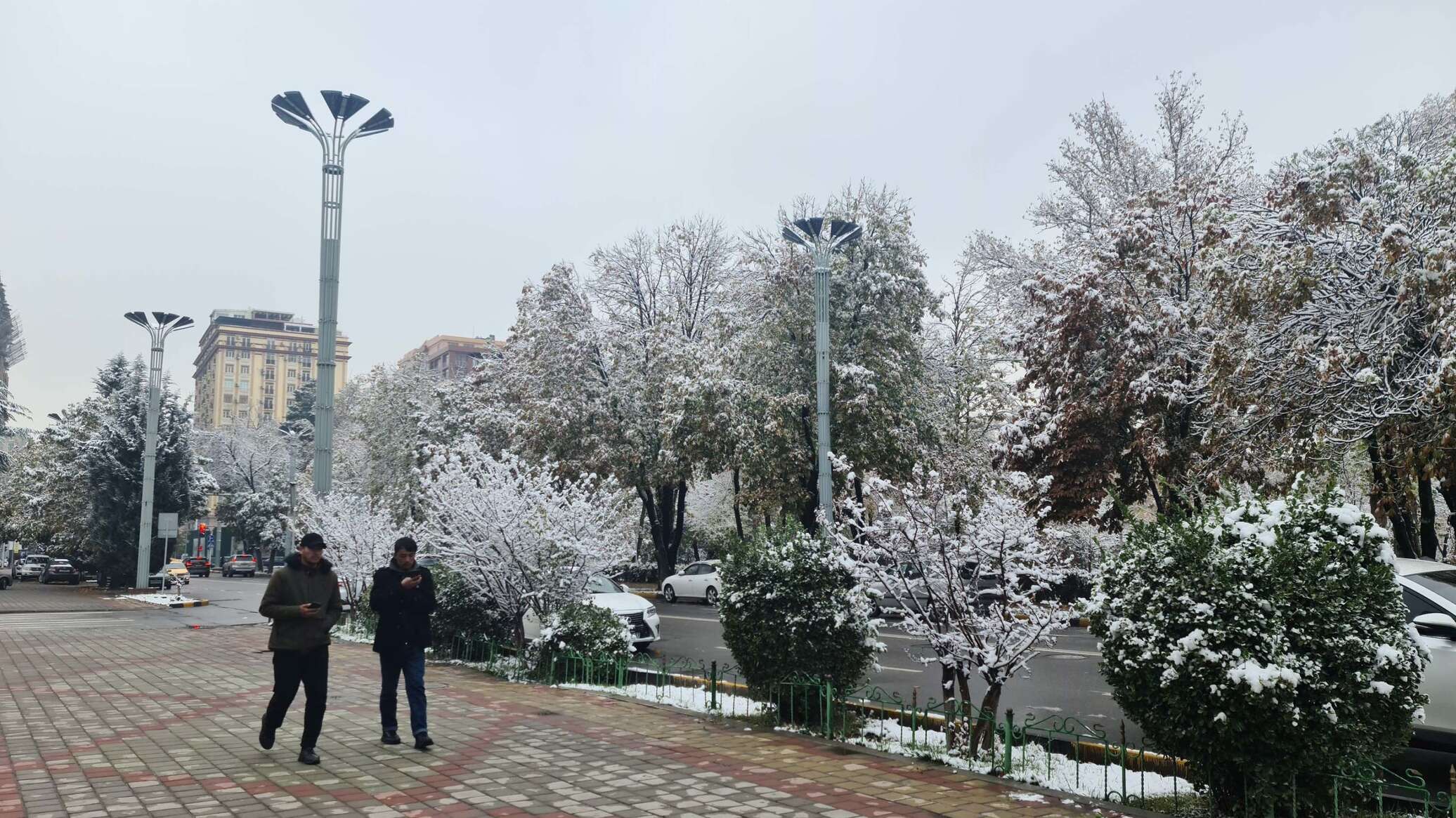 Прогноз в душанбе сегодня. Зима в Душанбе. Душанбе зимой. Таджикистан в ноябре. Снег в Таджикистане.