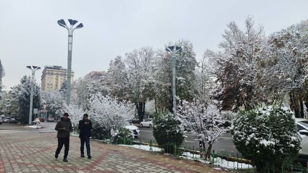Прохожие на улице в Душанбе после снегопада - Sputnik Таджикистан