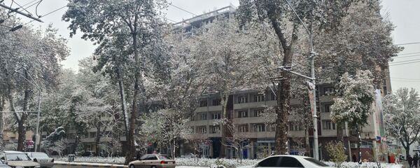 Зима в городе Душанбе Зима в городе Душанбе - Sputnik Таджикистан