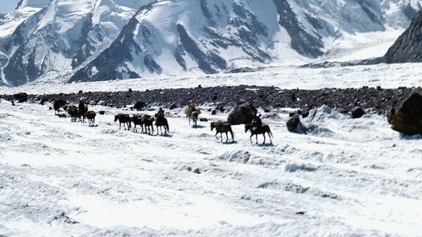 Ледник Федченко в горах Памир в Таджикистане. - Sputnik Таджикистан