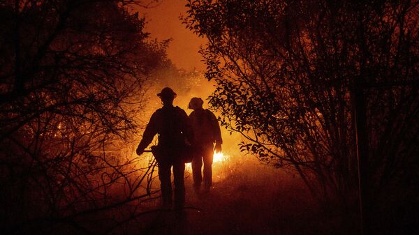 Пожарные борются с лесным пожаром в округе Ориндж, Калифорния - Sputnik Таджикистан