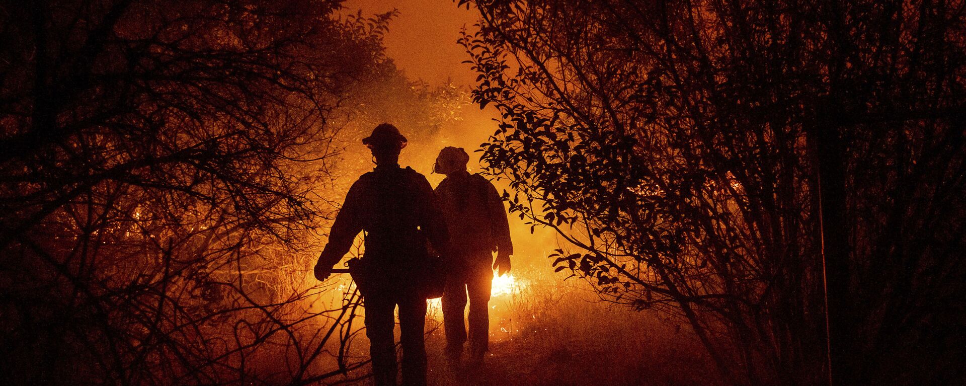 Пожарные борются с лесным пожаром в округе Ориндж, Калифорния - Sputnik Таджикистан, 1920, 16.12.2021