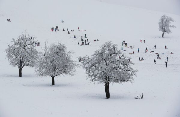 Люди катаются на санках во время первого снегопада в Альбиспассе, Швейцария - Sputnik Таджикистан