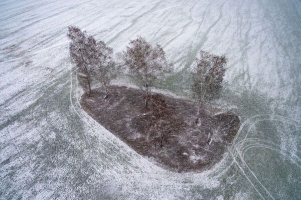 Снегопад на поле с озимыми культурами в Новосибирской области - Sputnik Таджикистан