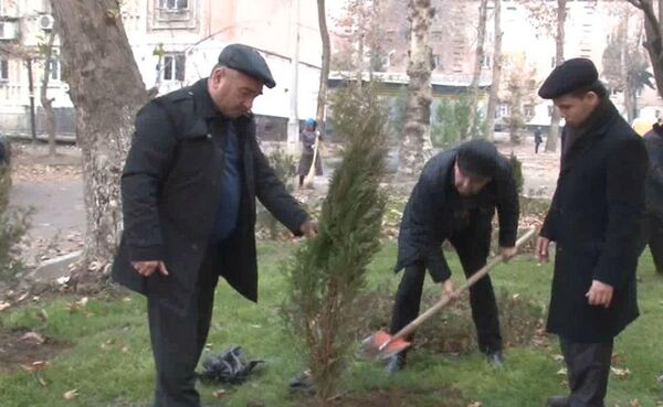 Милисаҳо барои нигоҳубини ниҳолҳои шинондаашон вазифадор шуданд-акс - Sputnik Тоҷикистон