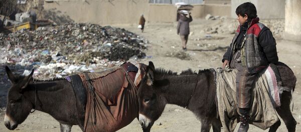 Мальчик едет на осле в Кабуле - Sputnik Тоҷикистон