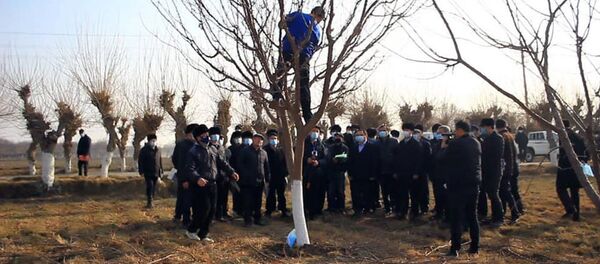 Семинар земледельцев в Канибадаме - Sputnik Тоҷикистон