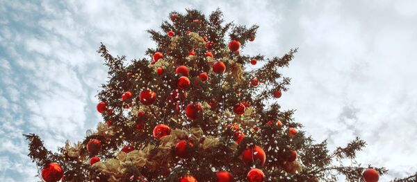 Новогодняя елка - Sputnik Таджикистан