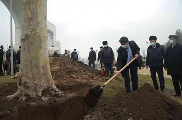 Рустами Эмомалӣ ба масҷид рафту дарахт шинонд-акс - Sputnik Тоҷикистон