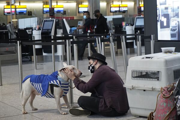 Турист с собакой в терминале 2 аэропорта Хитроу в Лондоне, Великобритания  - Sputnik Тоҷикистон