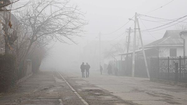 Туман в Душанбе - Sputnik Тоҷикистон