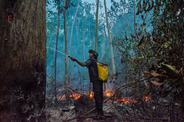 Тушение лесных пожаров в Бразилии - Sputnik Тоҷикистон