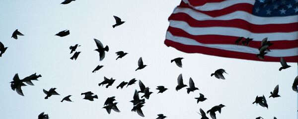 Флаг США - Sputnik Таджикистан