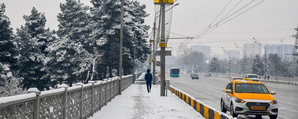Зима в городе Душанбе - Sputnik Таджикистан