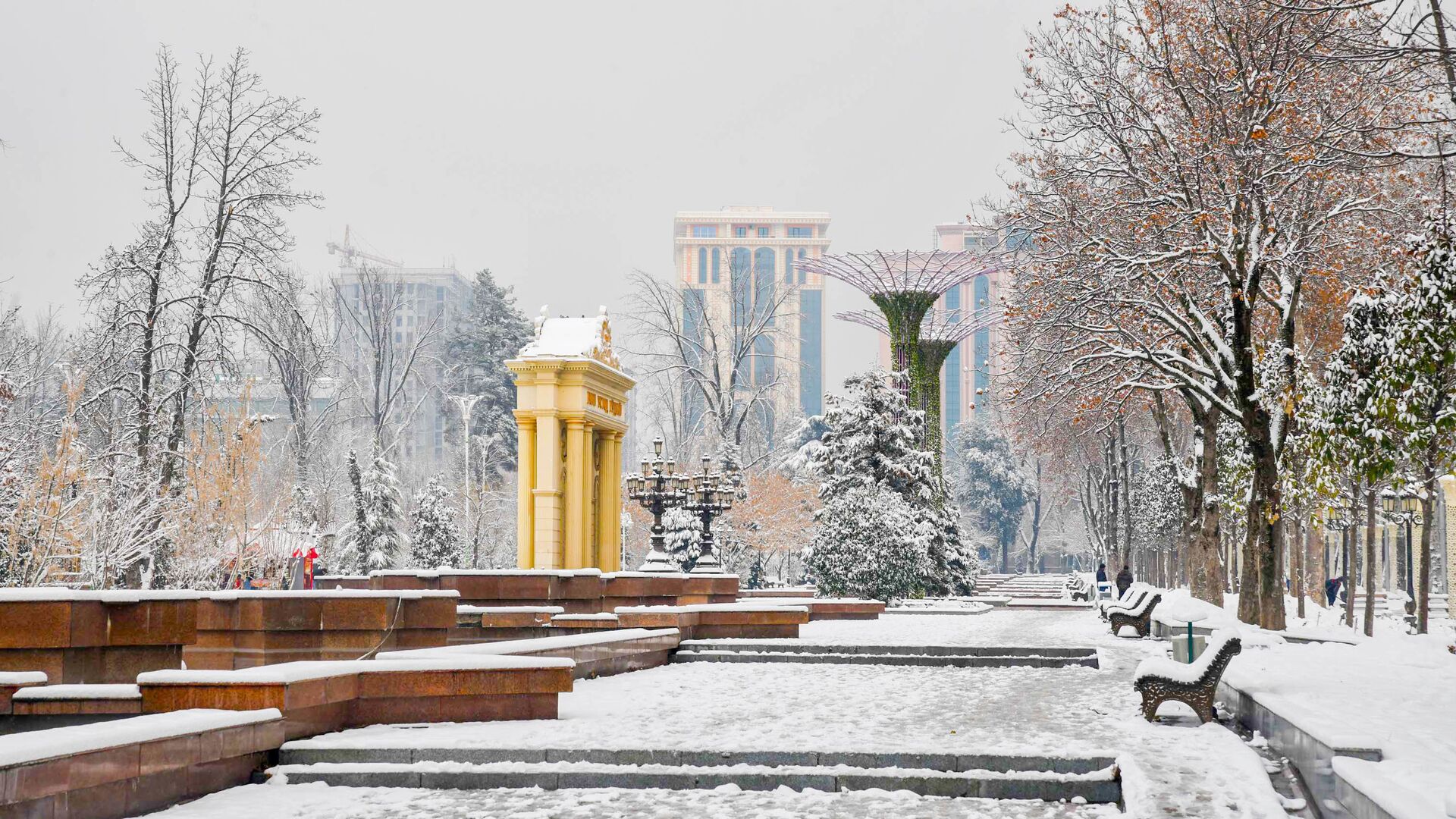 Зима в городе Душанбе - Sputnik Таджикистан, 1920, 01.02.2021