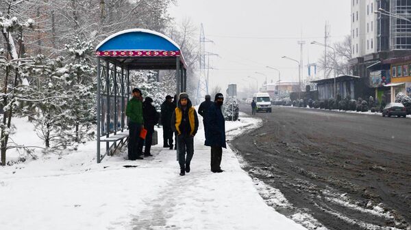 Зима в городе Душанбе - Sputnik Таджикистан