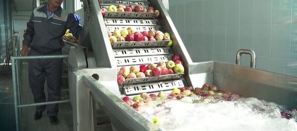 Промышленность Хатлонской области - Sputnik Тоҷикистон